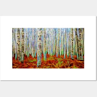 Glowing birchwoods line of trees Posters and Art